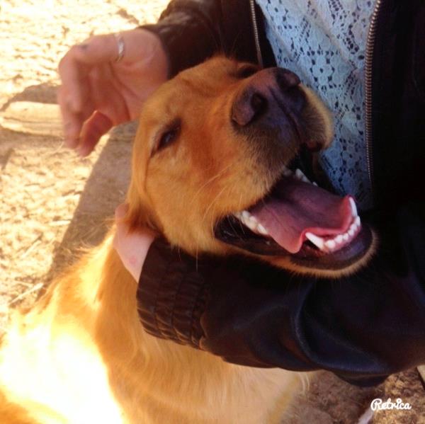 /Images/uploads/Humane Society of Utah/HSUCalendar/entries/1309thumb.jpg